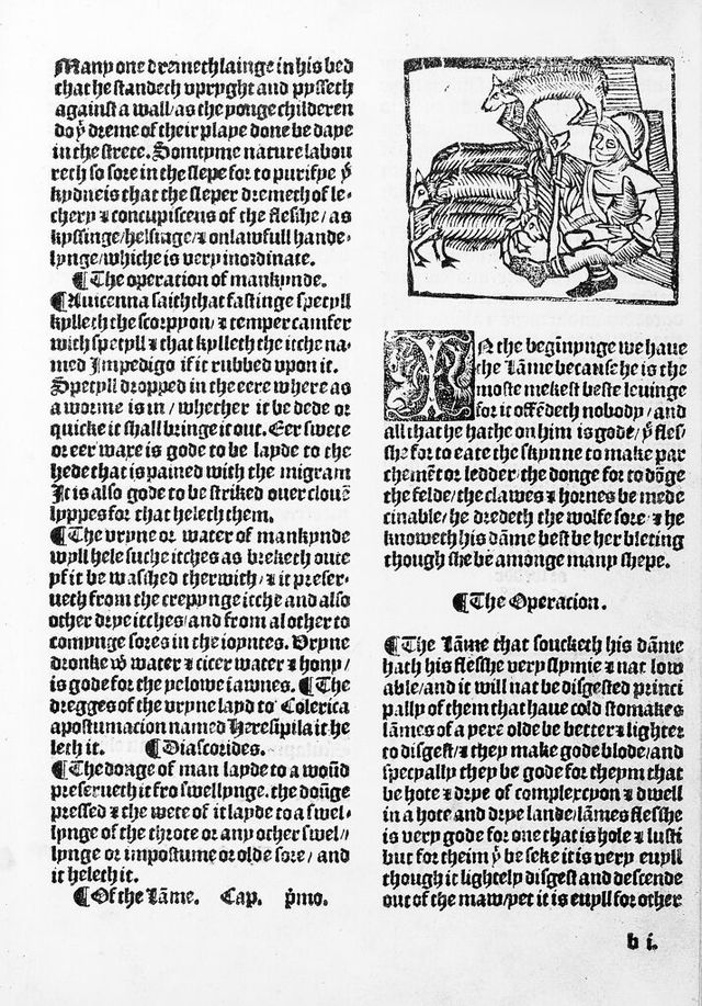 digitised image 1