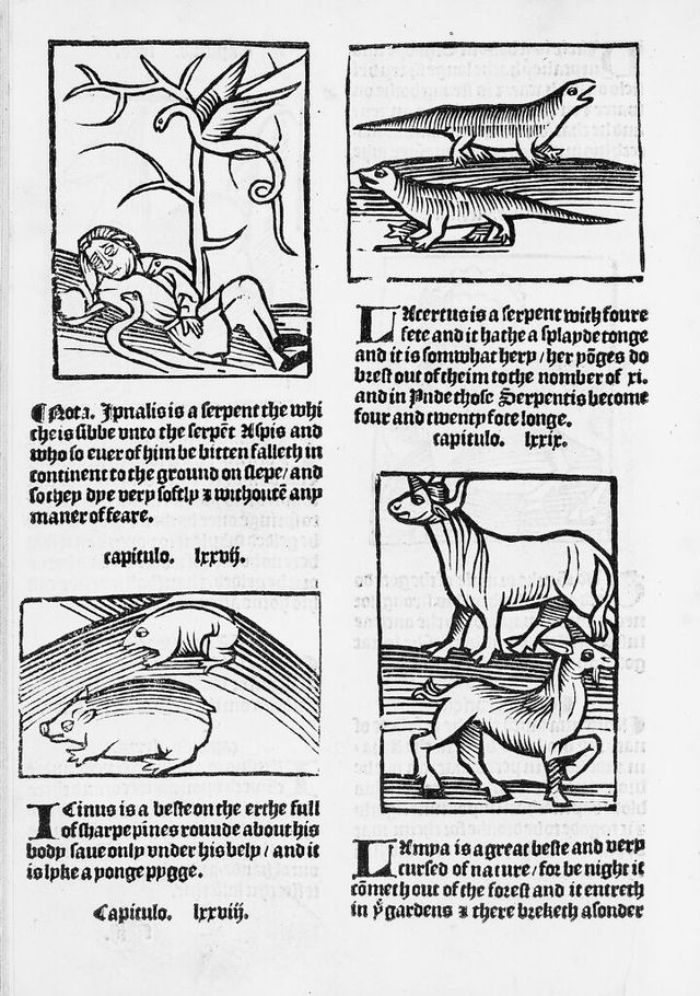 digitised image 1