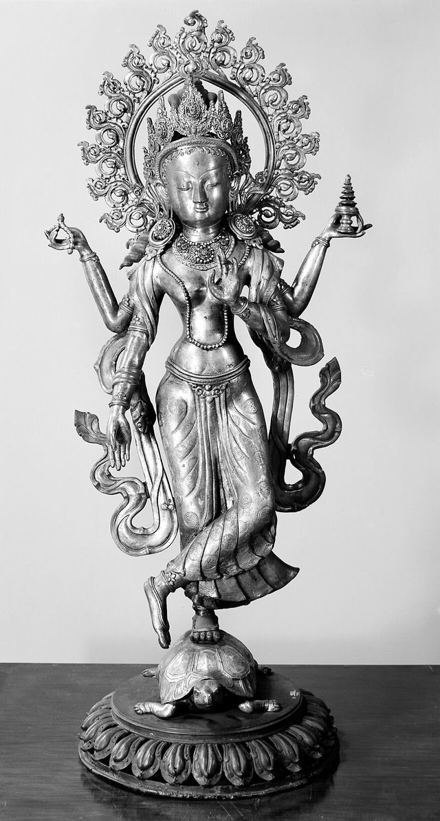 No text description is available for this image