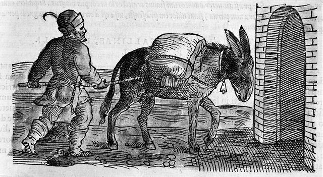digitised image 1