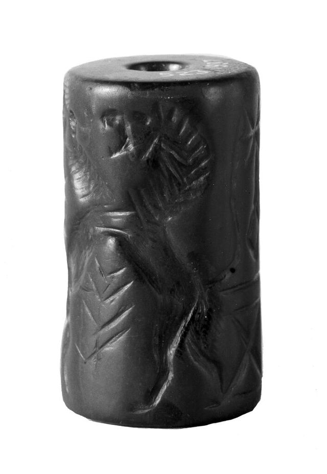 No text description is available for this image