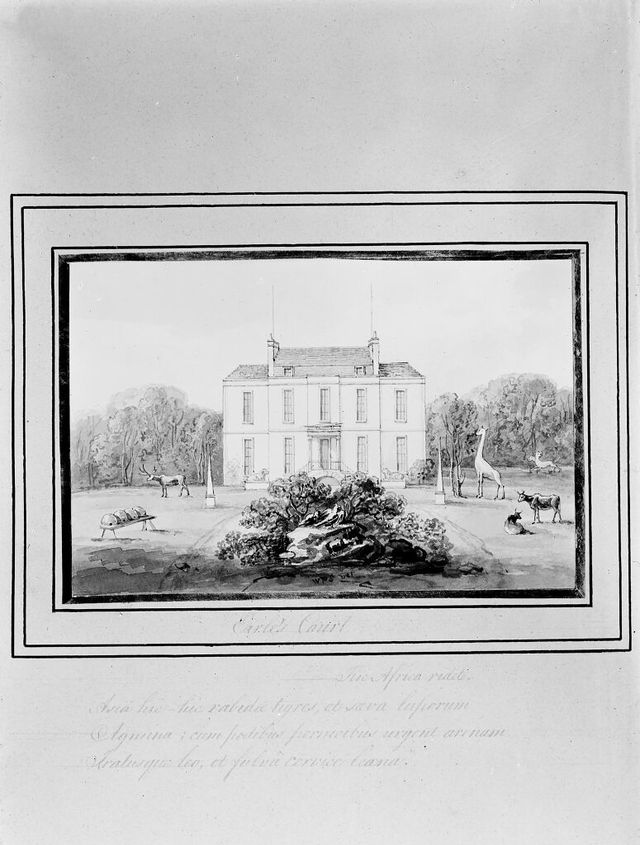 No text description is available for this image