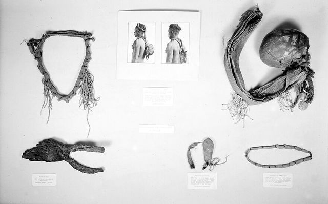 No text description is available for this image