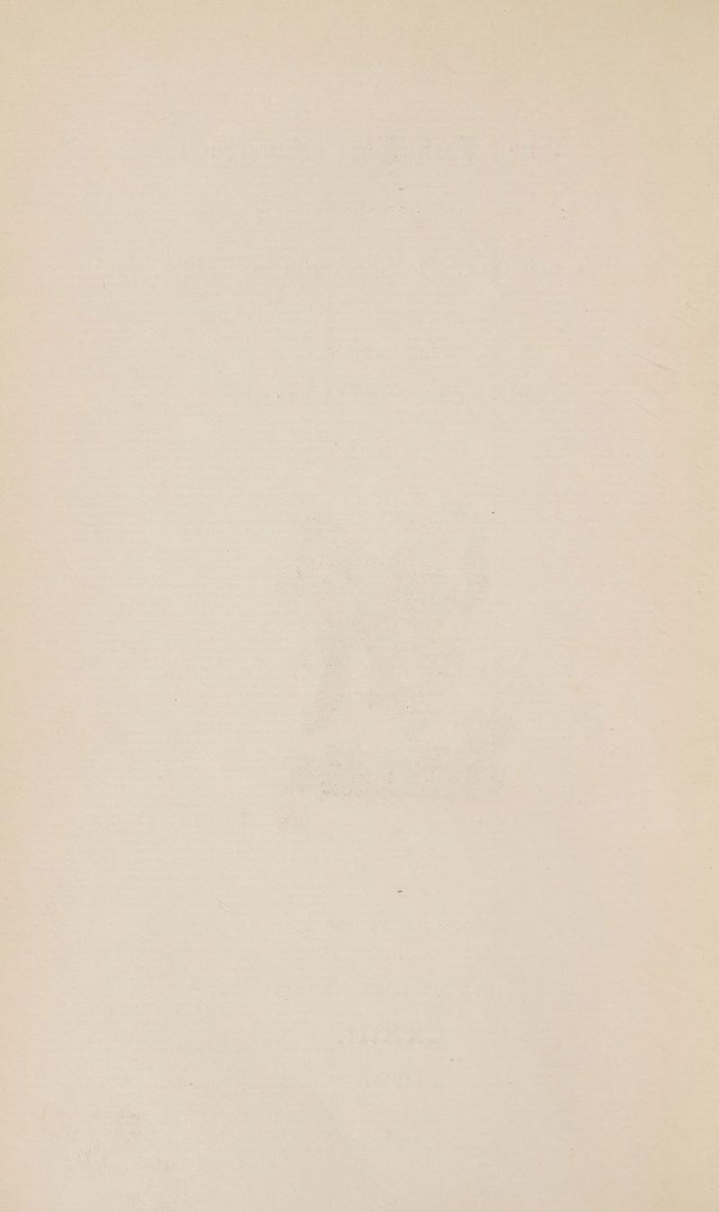 “pil 1 Ge : cs a) TD a Wo . his Oe SO aces is ~ Os a an it de