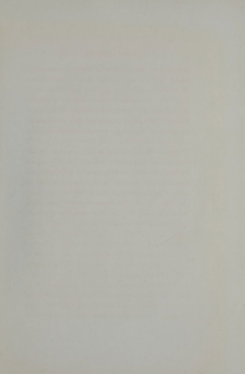 > iy VW ioe vb ‘Saas PEPER ‘ 7 ee ie.