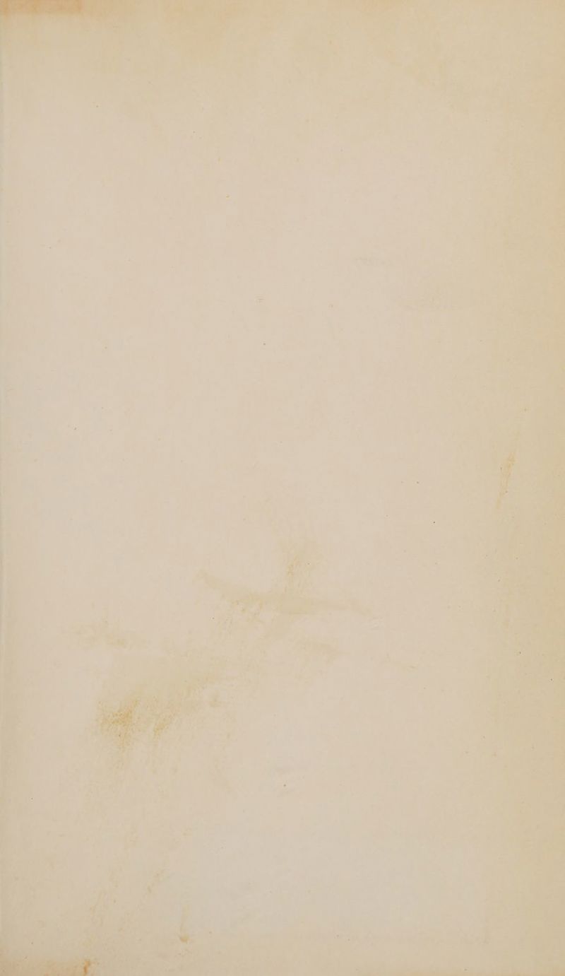 - 7 a See eer Sep ir de a»