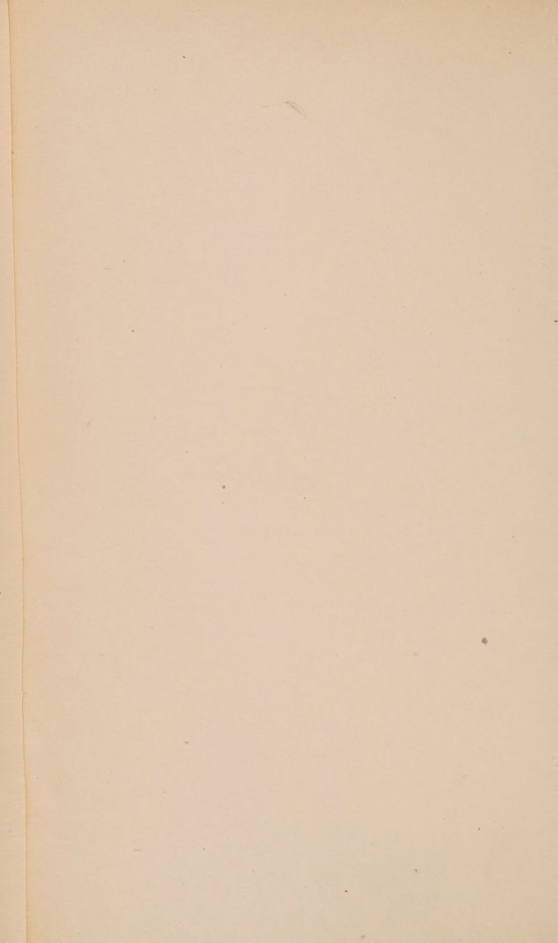 is _ *» i & ia A et ’ - a a am