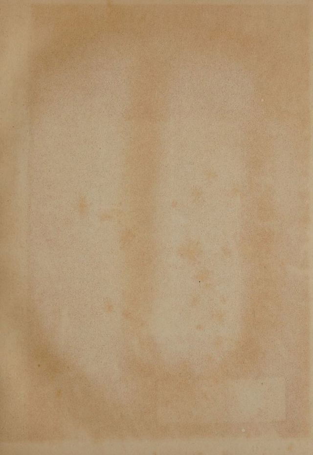 digitised image 3