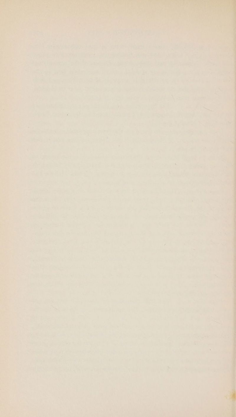 ee ae. i , wre fi ‘ a Te . re elk cand, ay ee . ae : aitenihs sae: See ie par ; ean Sangh Bie ee elke liboh si antip elas Pepe: Saeco Nes el “ a i