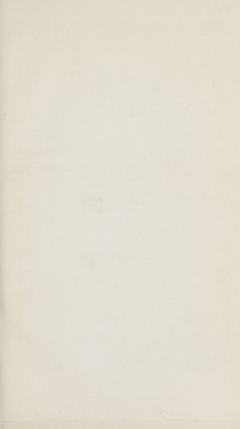 a = _ er aw ~~ a Lh elle Dy 7, <e aT. .S . pee hi f ae - Lio ag a : 4 ‘ . aay) ; ae ar . » ; aM 1” Me Ve ‘ * : ‘ os = ' 1 | i y é f a hi % » ie i aa > “ See a , ; ' » (het -% ie a é Awl oly ai 4 * . im, Vs , <8 pet ’ bo a4 Te | ; : x 7 +e é ; p ‘> = me he a i) pe : ana a i Se ] ; ‘ T . : ; 3 s “ : = . . A ‘ i P As i, | p= . ie = : : ‘ ne: / a? . “ ¥ es : i ; > : = es P| ‘ , ge YJ if - ‘3 5 ot if ‘ = “+ = . : ~ a 5 i 1s = ie My « P = i 4 ; - aa 2 ; of. A 6 FS <. os r i ' i , Lf ‘ ’ Ps : = % ies ' 2 ‘a 4 e , Ps . , 1 ' Saf Py at 4’ ° a ty is f f 4 : ; ca 3 ; Ea. ae i ani uett
