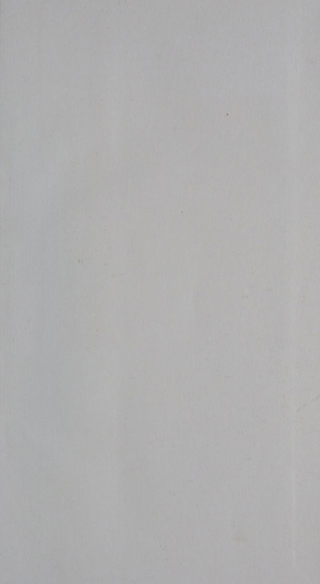 digitised image 3