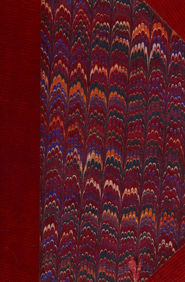 No text description is available for this image