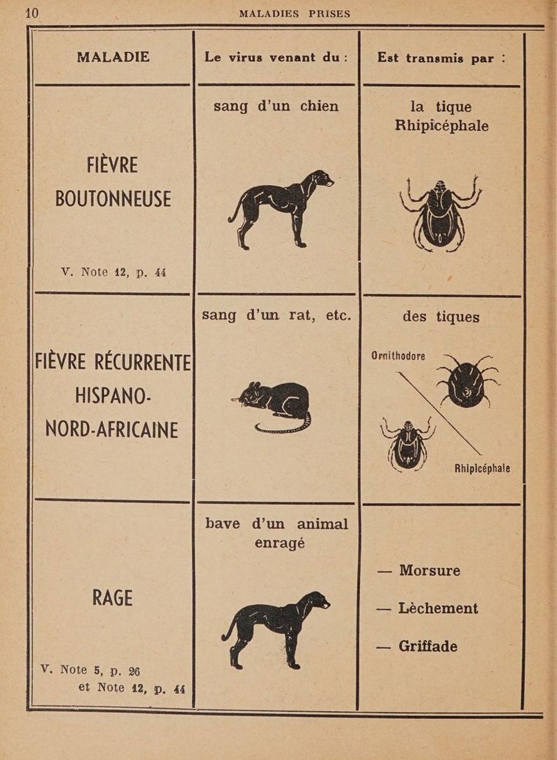 MALADIE Le virus venant du: sang d’un chien FIÈVRE BOUTONNEUSE V. Note 42, p. 44 sang d’un rat, etc. FIÈVRE RÉCURRENTE HISPANO- NORD-AFRICAINE bave d’un animal enragé RAGE V. Note 5, p. 2% et Note 42, p. 44 Est transmis par : la tique Rhipicéphale des tiques Ornithodore | F j \ A Rhipicéphale — Morsure — Léèchement — Griffade 1 A RE SR