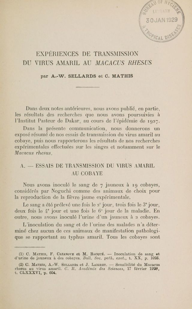 digitised image 3