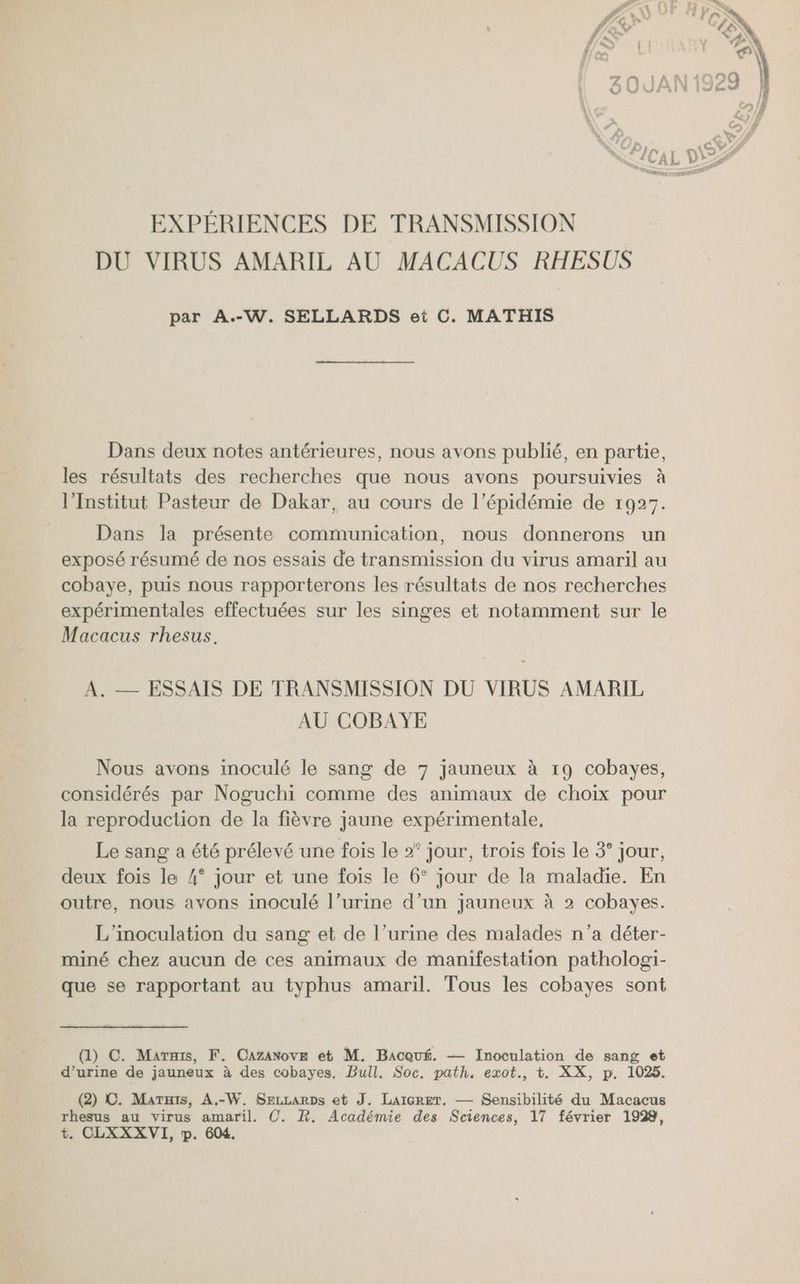 EXPÉRIENCES DE TRANSMISSION DU VIRUS AMARIL AU MACACUS RHESUS par A.-W. SELLARDS et C. MATHIS Dans deux notes antérieures, nous avons publié, en partie, les résultats des recherches que nous avons poursuivies à l’Institut Pasteur de Dakar, au cours de l’épidémie de 1927. Dans la présente communication, nous donnerons un exposé résumé de nos essais de transmission du virus amaril au cobaye, puis nous rapporterons les résultats de nos recherches expérimentales effectuées sur les singes et notamment sur le Macacus rhesus. A. — ESSAIS DE TRANSMISSION DU VIRUS AMARIL AU COBAYE Nous avons inoculé le sang de 7 jauneux à 19 cobayes, considérés par Noguchi comme des animaux de choix pour la reproduction de la fièvre jaune expérimentale, Le sang a été prélevé une fois le 2° jour, trois fois le 3° jour, deux fois le 4° jour et une fois le 6° jour de la maladie. En outre, nous avons inoculé l’urine d’un jauneux à 2 cobayes. L'inoculation du sang et de l’urine des malades n’a déter- miné chez aucun de ces animaux de manifestation pathologi- que se rapportant au typhus amaril. Tous les cobayes sont (1) C. Marmis, F. CazaNove et M. Bacqué. — Inoculation de sang et d'urine de jauneux à des cobayes, Bull. Soc. path. exot., t. XX, p. 1025. (2) C. Maruis, A.-W. SeLzLarps et J. LAIGRET. — Sensibilité du Macacus rhesus au virus amaril. C. R. Académie des Sciences, 17 février 1928, t. CLXXXVI, p. 604.