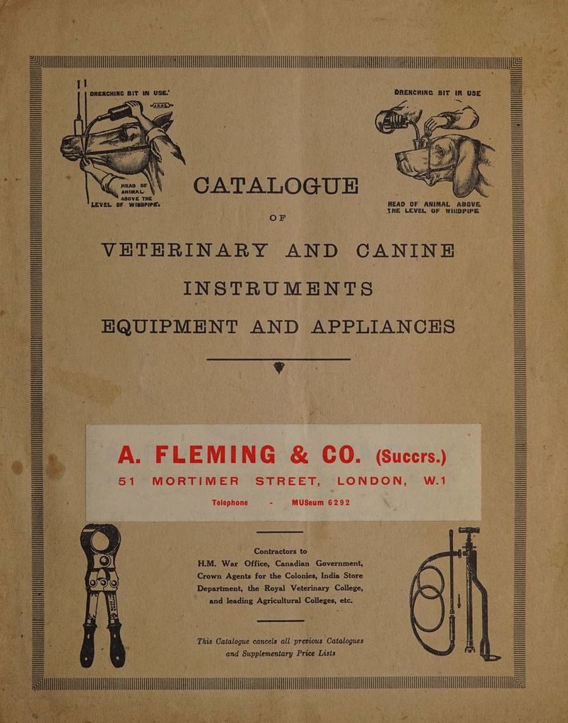 | | a is 1) _] DRENCHING BIT IN USE.’ ORENCHING BIT x USE CATALOGUE SHE LEVEL OF WINDPIPE OF VETERINARY AND CANINE INSTRUMENTS FQUIPMENT AND APPLIANCES) ¥ A. FLEMING &amp; CQO. (Sucers.) 51 MORTIMER STREET, LONDON, W.1 Telephone - MUSeum 6292 Contractors to H.M. War Office, Canadian Government, Crown Agents for the Colonies, India Store Department, the Royal Veterinary College, and leading Agricultural Colleges, etc. — ee ‘This Catalogue cancels all previous ‘Catalogues . and Supplementary Price Lists 2AM