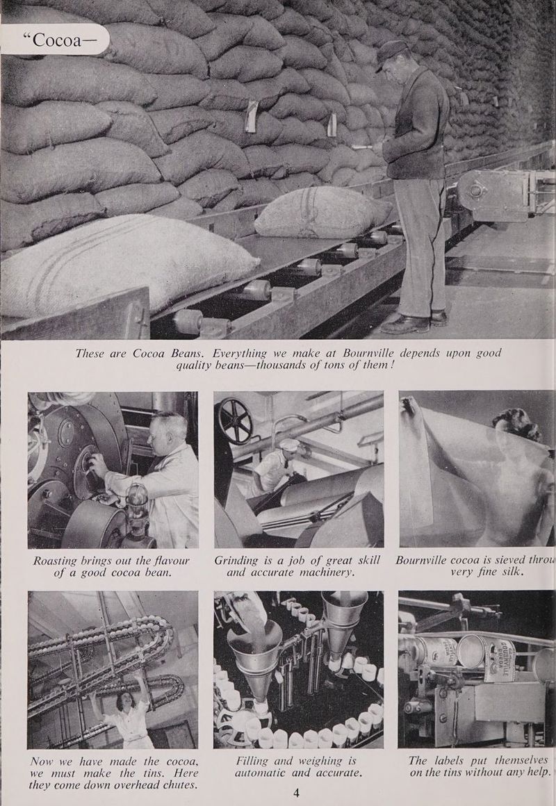 ) These are Cocoa Beans. Everything we make at Bournville depends upon good | quality beans—thousands of tons of them ! Roasting brings out the flavour Grinding is a job of great skill Bournville cocoa is sieved throu of a good cocoa bean. and accurate machinery. very fine silk. Now we have made the cocoa, Filling and weighing is The labels put themselves we must make the tins. Here automatic and accurate. on the tins without any help.