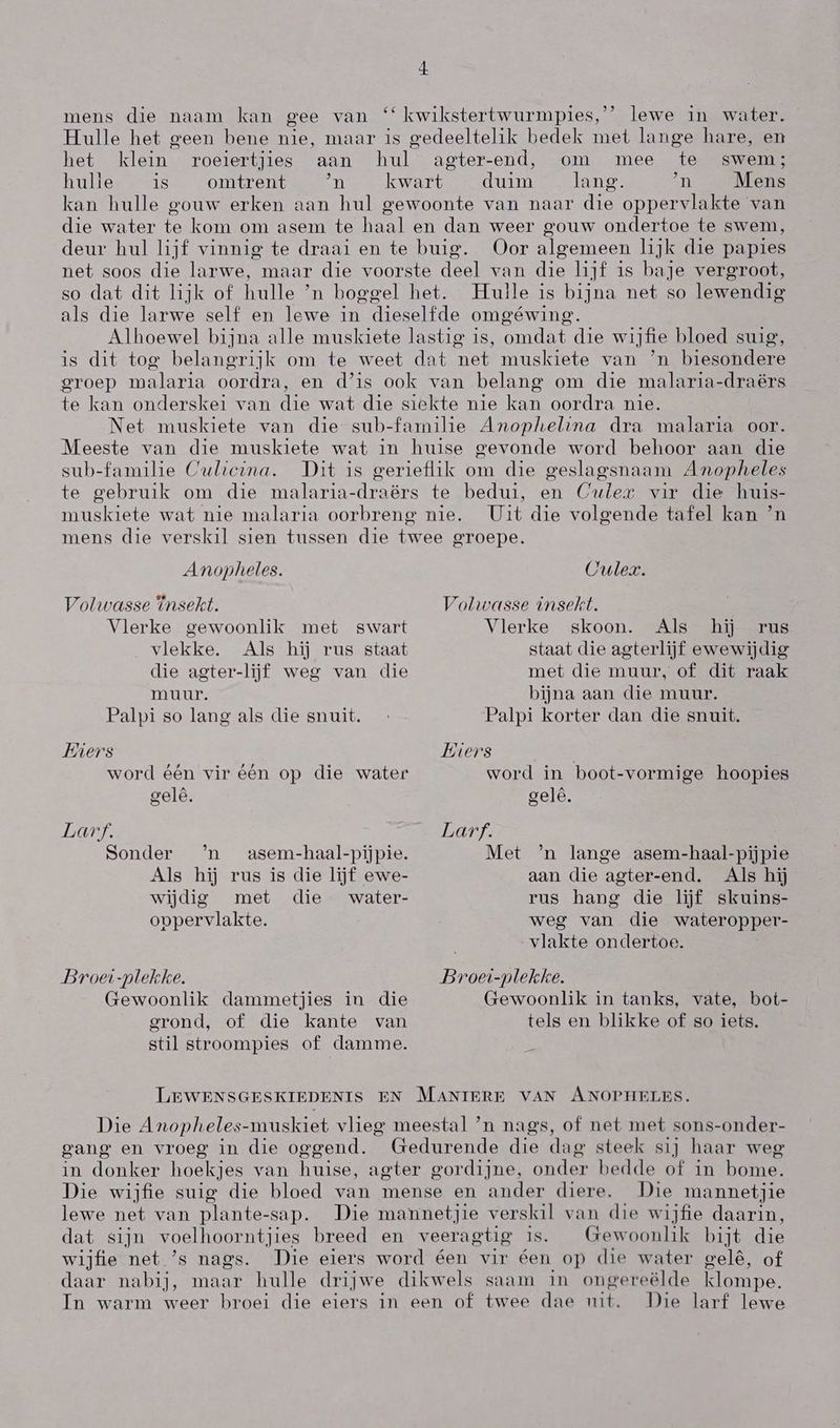 t mens die naam kan gee van “* kwikstertwurmpies,”” lewe in water. Hulle het geen bene nie, maar is gedeeltelik bedek met lange hare, en het klein roeiertjies aan hul agter-end, om mee te swem; hulle is omtrent n kwart duim lang. `n Mens kan hulle gouw erken aan hul gewoonte van naar die oppervlakte van die water te kom om asem te haal en dan weer gouw ondertoe te swem, deur hul lijf vinnig te draai en te buig. (Oor algemeen lijk die papies net soos die larwe, maar die voorste deel van die l1jf is baje vergroot, so dat dit lijk of hulle `n boggel het. Hulle is bijna net so lewendig als die larwe self en lewe in dieselfde omgéwing. Alhoewel bijna alle muskiete lastig is, omdat die wijfie bloed suig, is dit tog belangrijk om te weet dat net muskiete van `n biesondere gTOep malaria oordra, en d'is ook van belang om die malaria-draêrs sub-familie (ulicma. en (uler vir die huis- Uit die volgende tafel kan `n Anopheles. Volwasse 7nsekt. Vlerke gewoonlik met swart vlekke. Als hij rus staat die agter-lif weg van die muur. Palpi so lang als die snuit. Wiers $ Aa ) dd n) word één vir één op die water gelê. Larf. 7 Sonder 'n asem-haal-pijpie. Als hij rus is die If ewe- wijdig met die water- oppervlakte. Droei-plekke. Gewoonlik dammetjies in die grond, of die kante van stil stroompies of damme. Oulez. Voliasse insek. Vlerke skoon. Als hij rus staat die agterlijf ewewijdig met die muur, of dit raak bijna aan die muur. Palpi korter dan die snuit. Jyiers word in boot-vormige hoopies gelê. Larf. Met `n lange asem-haal-pijpie aan die agter-end. Als hij rus hang die lijf skuing- weg van die wateropper- vlakte ondertoe. Droei-plekke. Gewoonlik in tanks, vate, bot- tels en blikke of so iets. ad VAN ANOPHELES. gang en vroeg in die oggend. Die wijfie suig die bloed lewe net van plante-sap. wijfie net 's nags. Die mannetjie Gewoonlik bijt die Die larf lewe