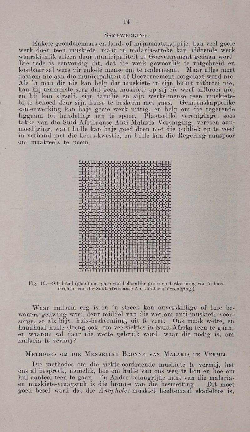SAMEWERKING. Enkele grondeienaars en land- of mijnmaatskappije, kan veel goeie werk doen teen muskiete, maar in malaria-streke kan afdoende werk waarskijnlik alleen deur municipaliteit of Goevernement gedaan word Die rede jis eenvoudig dit, dat die werk gewoonlik te uitgebreid en kostbaar sal wees vir enkele mense om te onderneem. Maar alles moet daarom nie aan die municipaliteit of Goevernement oorgelaat word nie. Als `n man dit nie kan help dat muskiete in sijn buurt uitbroei nie, kan hij tenminste sorg dat geen muskiete op sij eie werf uitbroei nie, en hij kan sigself, sijn familie en sijn werks-mense teen muskiete- bijte behoed deur sijn huise te beskerm met gaas. (iemeenskappelike samenwerking kan baje goeie werk uitrig, en help om die regerende liggaam tot handeling aan te spoor. Plaafselike vereniginge, soos takke van die Suid-Afrikaanse Anti-Malaria Vereniging, verdien aan- moediging, want hulle kan baje goed doen met die publiek op te voed in verband met die koors-kwestie, en hulle kan die Regering aanspoor om maatreels te neem. Fig. 10.—Sif-Iraad (gaas) met gate van behoorlike grote vir beskerming van `n huis. (Geleen van die Suid-Afrikaanse Anti-Malaria Vereniging.) Waar malaria erg is in `n streek kan onverskillige of luie be-. woners gedwing word deur middel van die wet om anti-muskiete voor- sorge, so als bijy. huis-beskerming, uit te voer. (Ons maak wette, en handhaaf hulle streng ook, om vee-siektes in Suid-Afrika teen te gaan, en waarom sal daar nie wette gebruik word, waar dit nodig is, om malaria te vermaij? METOODES OM DIE MENSELIKE BRONNE VAN MALARIA TE VERMII. Die methodes om die siekte-oordraende muskiete te vermij, het ons al bespreek, namelik, hoe om hulle van ons weg te hou en hoe om hul aanteel teen te gaan. `n Ander belangrijke kant van die malaria- en muskiete-vraagstuk is die bronne van die besmetting. Dit moet goed besef word dat die Anopheles-muskiet heeltemaal skadeloos is,