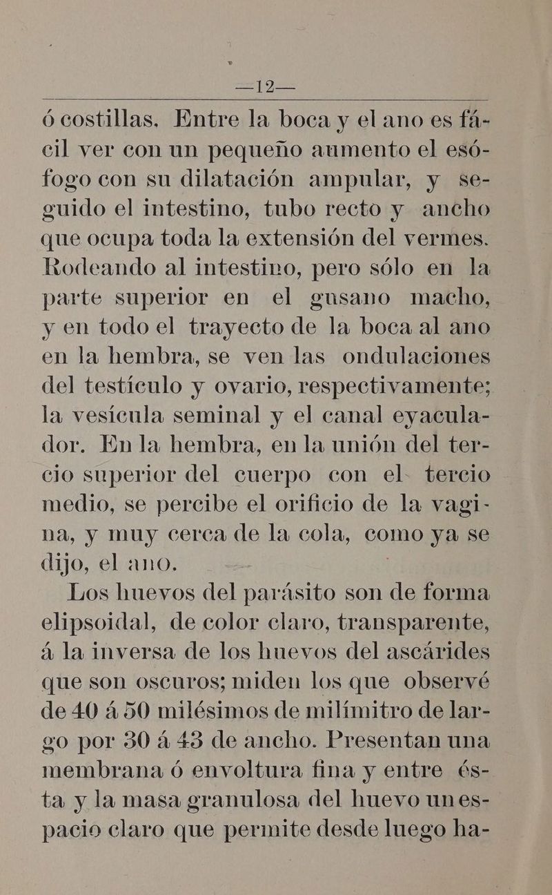 ó costillas. Entre la boca y el ano es fá- cil ver con un pequeño aumento el esó- fogo con su dilatación ampular, y se- guido el intestino, tubo recto y ancho que ocupa toda la extensión del vermes. Kodeando al intestino, pero sólo en la parte superior en el gusano macho, y en todo el trayecto de la boca al ano en la hembra, se ven las ondulaciones del testículo y ovario, respectivamente; la vesícula seminal y el canal eyacula- dor. En la hembra, en la unión del ter- cio superior del cuerpo con el. tercio medio, se percibe el orificio de la vagi- na, y muy cerca de la cola, como ya se dijo, el ano. Los huevos del parásito son de forma elipsoidal, de color claro, transparente, á la inversa de los huevos del ascárides que son oscuros; miden los que observé de 40 450 milésimos de milímitro de lar- go por 30 4 43 de ancho. Presentan una membrana ó envoltura fina y entre ós- ta y la masa granulosa del huevo un es- pacio claro que permite desde luego ha-