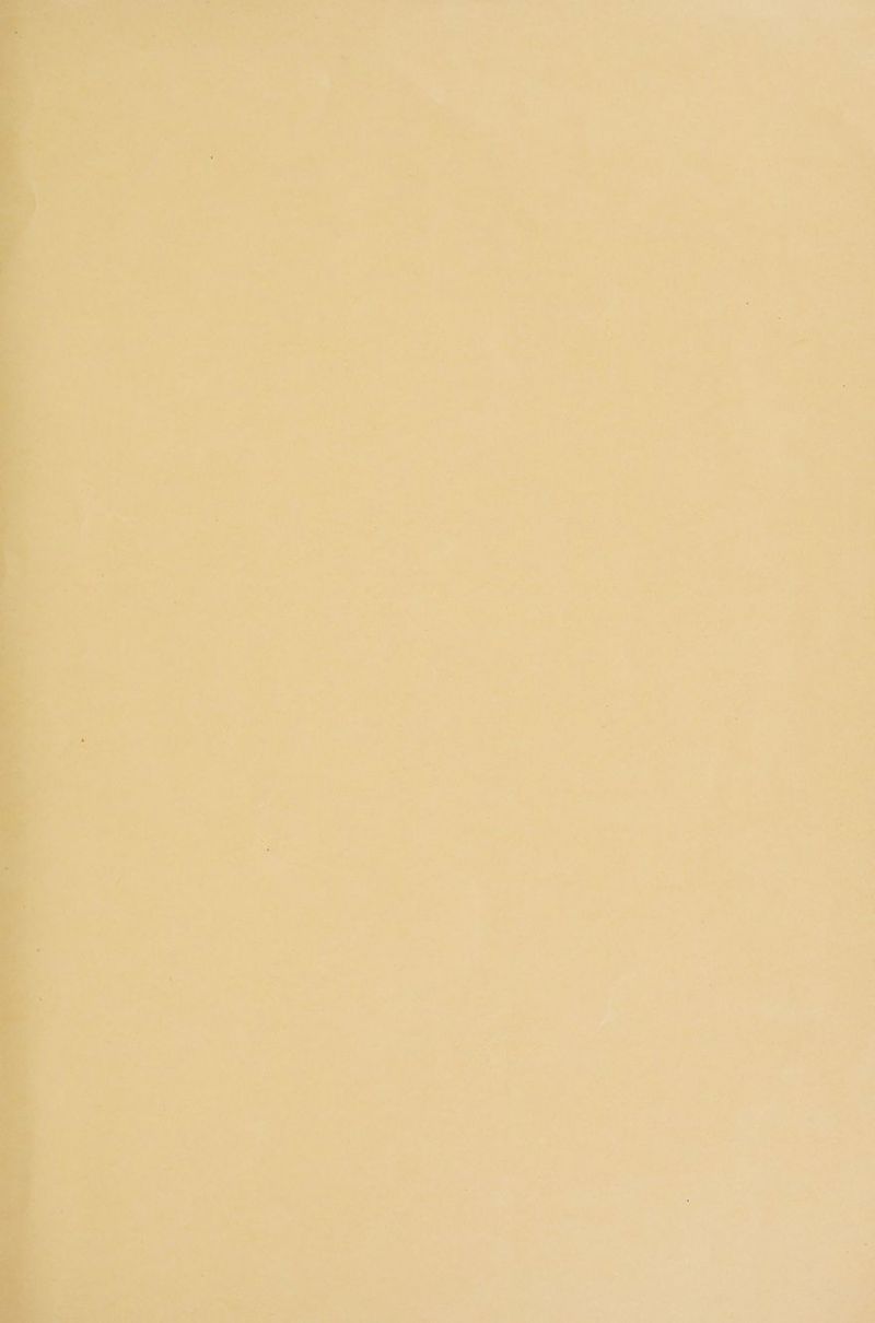 f - fT Ley 2 ~ i. ee a oF ine “ a eR pie mT oh Pia Nae an “gi i + Syke ™ rue