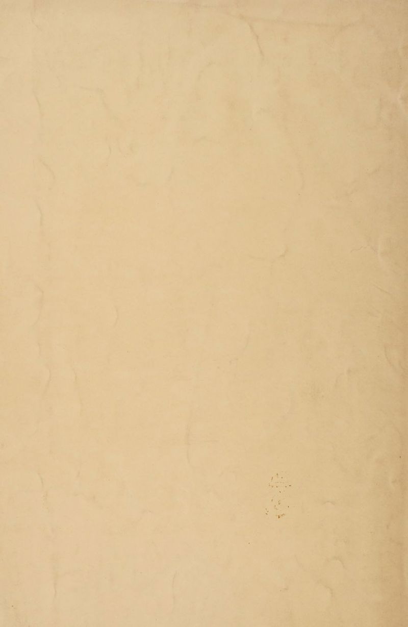 y \ 7 tf ib hy 5 7 \  4 &amp;,  a ,  . + ; ‘ 5 t a . j ; + = a y i ue i} ay