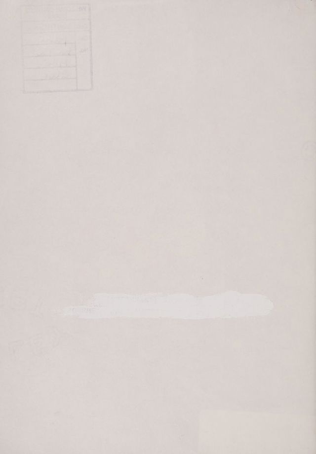 digitised image 2