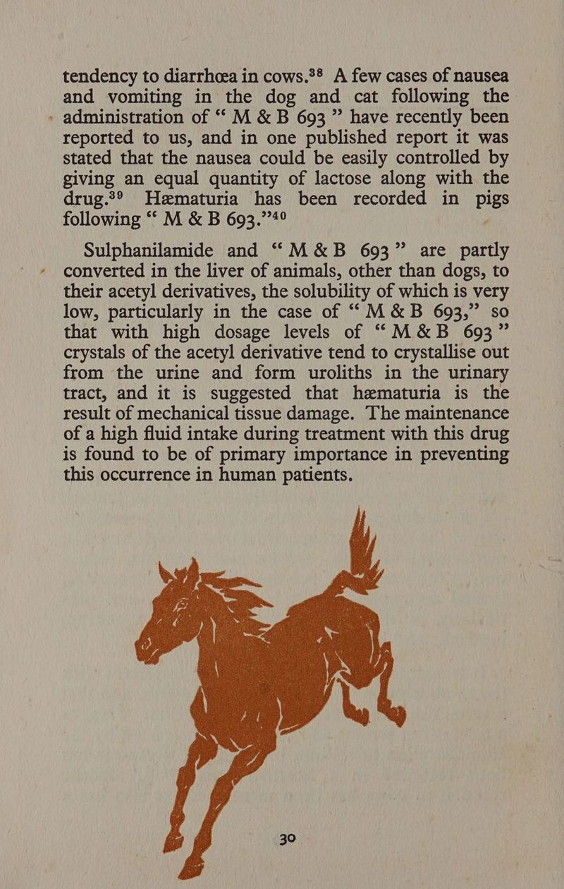 tendency to diarrhoea in cows.®® A few cases of nausea and vomiting in the dog and cat following the - administration of “* M &amp; B 693 ” have recently been reported to us, and in one published report it was stated that the nausea could be easily controlled by giving an equal quantity of lactose along with the drug.*® Hematuria has been recorded in pigs following ““ M &amp; B 693.”4° Sulphanilamide and “M&amp;B 693” are partly converted in the liver of animals, other than dogs, to their acetyl derivatives, the solubility of which is very low, particularly in the case of ““M&amp;B 693,” so that with high dosage levels of “M&amp;B 693” crystals of the acetyl derivative tend to crystallise out from the urine and form uroliths in the urinary tract, and it is suggested that hematuria is the result of mechanical tissue damage. The maintenance of a high fluid intake during treatment with this drug is found to be of primary importance in preventing this occurrence in human patients.