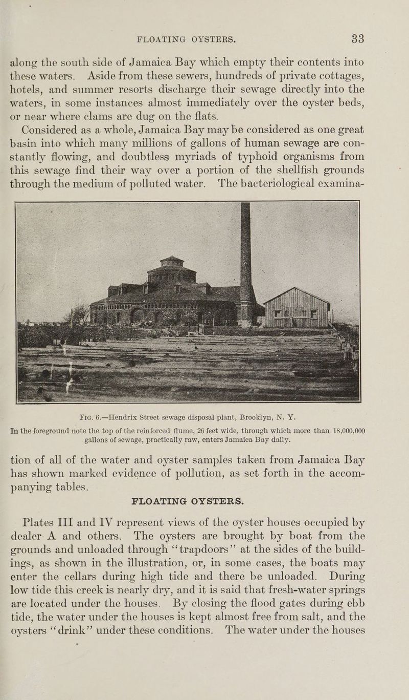 FLOATING OYSTERS. So along the south side of Jamaica Bay which empty their contents into these waters. Aside from these sewers, hundreds of private cottages, hotels, and summer resorts discharge their sewage directly into the waters, in some instances almost immediately over the oyster beds, or near where clams are dug on the flats. Considered as a whole, Jamaica Bay may be considered as one great basin into which many millions of gallons of human sewage are con- stantly flowing, and doubtless myriads of typhoid organisms from this sewage find their way over a portion of the shellfish grounds through the medium of polluted water. The bacteriological examina- In the foreground note the top of the reinforced flume, 26 feet wide, through which more than 18,000,000 gallons of sewage, practically raw, enters Jamaica Bay daily. tion of all of the water and oyster samples taken from Jamaica Bay has shown marked evidence of pollution, as set forth in the accom- panying tables. FLOATING OYSTERS. Plates III and IV represent views of the oyster houses occupied by dealer A and others. The oysters are brought by boat from the grounds and unloaded through “‘trapdoors”’ at the sides of the build- ings, as shown in the illustration, or, in some cases, the boats may enter the cellars during high tide and there be unloaded. During low tide this creek is nearly dry, and it is said that fresh-water springs are located under the houses. By closing the flood gates during ebb tide, the water under the houses is kept almost free from salt, and the oysters ‘‘drink”’ under these conditions. The water under the houses