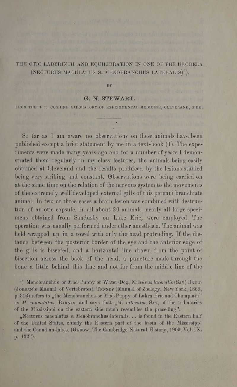 THE OTIC LABYRINTH AND EQUILIBRATION IN ONE OF THE URODELA (NECTURUS MACULATUS S. MENOBRANCHUS LATERALIS) '). BY G. N. STEWART. FROM THE H. K. CUSHING LABORATORY OF EXPERIMENTAL MEDICINE, CLEVELAND, OHIO. So far as [ am aware no observations on these animals have been published except a brief statement by me in a text-book (1). The expe- riments were made many years ago and for a number of years I demon- strated them regularly in my class lectures, the animals being easily obtained at Cleveland and the results produced by the lesions studied being very striking and constant. Observations were being carried on at the same time on the relation of the nervous system to the movements of the extremely well developed external gills of this perenmi branchiate animal. In two or three cases a brain lesion was combined with destruc- tion of an otic capsule. In all about 20 animals. nearly all large speci- mens obtained from Sandusky on’ Lake Hrie, were employed. The operation was usually performed under ether anesthesia. The animal was held wrapped up in a towel with only the head protruding. If the dis- tance between the posterior border of the eye and the anterior edge of the gills is bisected, and a horizontal line drawn from the point of bisection across the back of the head, a puncture made through the bone a little behind this line and not far from the middle line of the ‘) Menobranchus or Mud-Puppy or Water-Dog, Necturus lateralis (Sav) Barrp (Jorpan’s Manual of Vertebrates). Tenney (Manual of Zoology, New York, 1869, p- 316) refers to ,,the Menobranchus or Mud-Puppy of Lakes Erie and Champlain” as M. maculatus, BArnes, and says that ,,M. lateralis, Say, of the tributaries of the Mississippi on the eastern side much resembles the preceding”. »Necturus maculatus s. Menobranchus lateralis... is found in the Eastern half of the United States, chiefly the Eastern part of the basin of the Mississippi and the Canadian lakes. (Gapow, The Cambridge Natural History, 1909, Vol. IX, p. 182”).