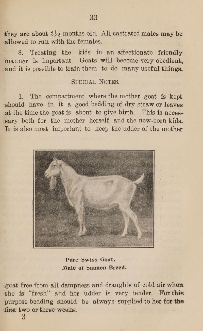 ‘they are about 214 months old. All castrated males may be sallowed to run with the females. 8. Treating the kids in an affectionate friendly ‘manner is important. Goats will become very obedient, -and it is possible to train them to do many useful things. SPECIAL NOTES. 1. The compartment where the mother goat is kept -should have in it a good bedding of dry straw or leaves _at the time the goat is about to give birth. This is neces- ‘sary both for the mother herself and the new-born kids. It is also most important to keep the udder of the mother -goat free from all dampness and draughts of cold air when she is “fresh” and her udder is very tender. For this ‘purpose bedding should be always supplied to her for the first - or three weeks.