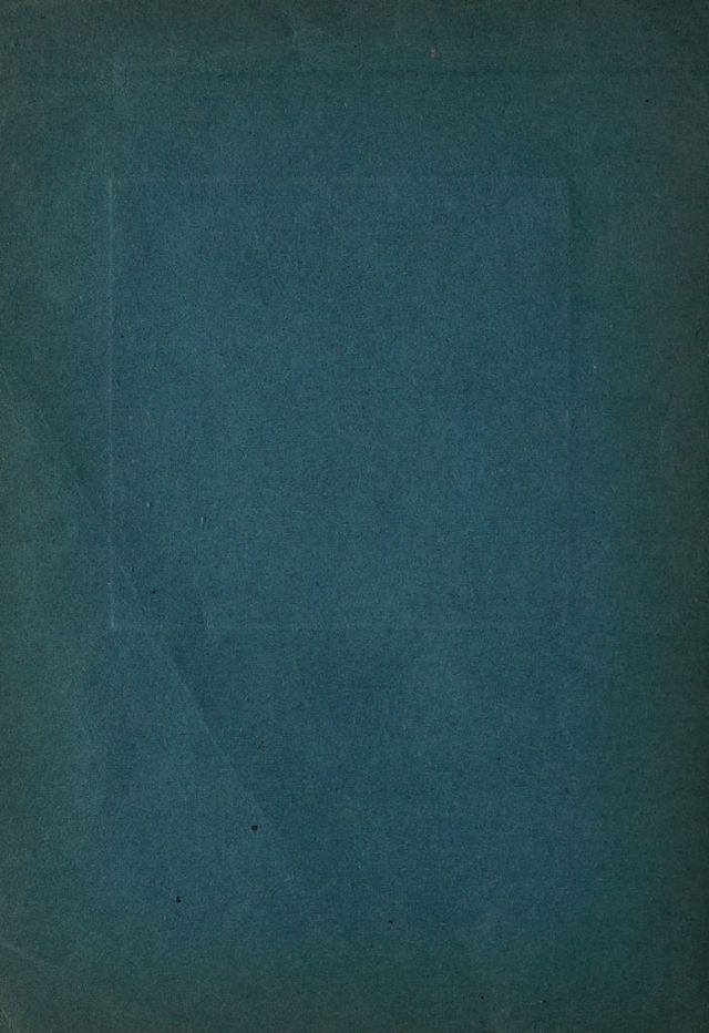 digitised image 2