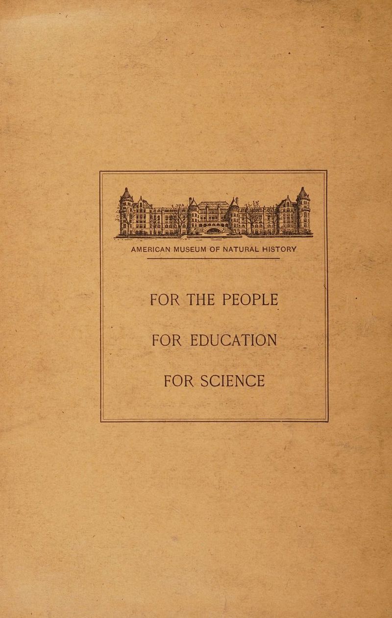 { y AMERICAN MUSEUM OF NATURAL HISTORY = |} x FOR THE PEOPLE =_i|_—s FOR EDUCATION. ff