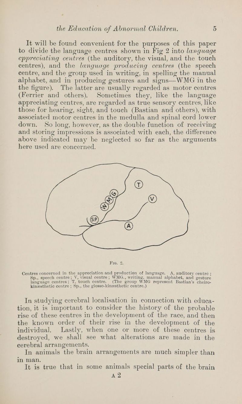 It will be found convenient for the purposes of this paper to divide the language centres shown in Fig 2 into language eppreciuting centres (the auditory, the visual, and the touch centres), and the language producing centres (the speech centre, and the group used in writing, in nie the manual alphabet, and in producing gestures the figure). The latter are usually regarded as motor centres (Ferrier and others). Sometimes they, like the language appreciating centres, are regarded as true sensory centres, like those for hearing, sight, and touch (Bastian and others), with associated motor centres in the medulla and spinal cord lower down. So long, however, as the double function of receiving and storing impressions is associated with each, the difference above indicated may be neglected so far as the arguments here used are concerned. Centres concerned in the appreciation and production of language. A, auditory centré ; Sp., speech centre; V, visual centre; WMG., writing, manual alphabet, and gesture language centres ; Tr ‘touch centre. (The group WMG represent Bastian’s ‘cheiro- kinesthetic centre ; Sp., the glosso-kinzsthetic centre.) In studying cerebral localisation in connection with educa- tion, it is important to consider the history of the probable rise of these centres in the development of the race, and then the known order of their rise in the development of the individual. Lastly, when one or more of these centres is destroyed, we shall see what alterations are made in the cerebral arrangements. In animals the brain arrangements are much simpler than in man. It is true that in some animals special parts of the brain A2