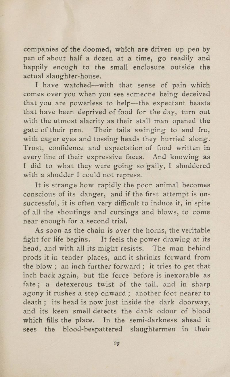 companies of the doomed, which are driven up pen by pen of about half a dozen at a time, go readily and happily enough to the small enclosure outside the actual slaughter-house. I have watched—with that sense of pain which comes over you when you see someone being deceived that you are powerless to help—the expectant beasts that have been deprived of food for the day, turn out with the utmost alacrity as their stall man opened the gate oftheir pen. Their tails swinging to and fro, with eager eyes and tossing heads they hurried along. Trust, confidence and expectation of food written in every line of their expressive faces. And knowing as I did to what they were going so gaily, I shuddered with a shudder I could not repress. It is strange how rapidly the poor animal becomes conscious of its danger, and if the first attempt is un- successful, it is often very difficult to induce it, in spite of all the shoutings and cursings and blows, to come near enough for a second trial. As soon as the chain is over the horns, the veritable fight for life begins. It feels the power drawing at its head, and with all its might resists. The man behind prods it in tender places, and it shrinks forward from the blow; an inch further forward; it tries to get that inch back again, but the force before is inexorable as fate; a detexerous twist of the tail, and in sharp agony it rushes a step onward; another foot nearer to death; its head is now just inside the dark doorway, and its keen smell detects the dank odour of blood which fills the place. In the semi-darkness ahead it sees the blood-bespattered slaughtermen in their 1g