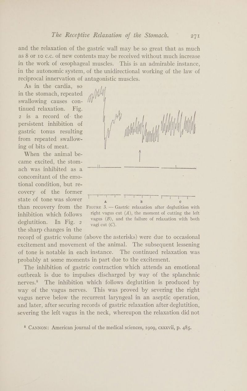 and the relaxation of the gastric wall may be so great that as much as 8 or 10 c.c. of new contents may be received without much increase in the work of cesophageal muscles. This is an admirable instance, in the autonomic system, of the unidirectional working of the law of reciprocal innervation of antagonistic muscles. As in the cardia, so in the stomach, repeated swallowing causes con- [ tinued relaxation. Fig. His a. record. of: the wy persistent inhibition of y gastric tonus resulting | from repeated swallow- . ing of bits of meat. When the animal be- came excited, the stom- ach was inhibited as a concomitant of the emo- tional condition, but re- covery of the former REP Ge | state of tone was slower | A SO a woe than recovery from the Ficure 3. — Gastric relaxation after deglutition with inhibition which follows right vagus cut (A), the moment of cutting the left vagus (B), and the failure of relaxation with both vagi cut (C). pa Nadel | EER core pee ae eee en | “ deglutition. In Fig. 2 the sharp changes in the record of gastric volume (above the asterisks) were due to occasional excitement and movement of the animal. The subsequent lessening of tone is notable in each instance. The continued relaxation was probably at some moments in part due to the excitement. The inhibition of gastric contraction which attends an emotional outbreak is due to impulses discharged by way of the splanchnic nerves.® The inhibition which follows deglutition is produced by way of the vagus nerves. This was proved by severing the right vagus nerve below the recurrent laryngeal in an aseptic operation, and later, after securing records of gastric relaxation after deglutition, severing the left vagus in the neck, whereupon the relaxation did not 8 Cannon: American journal of the medical sciences, 1909, Cxxxvii, p. 485.