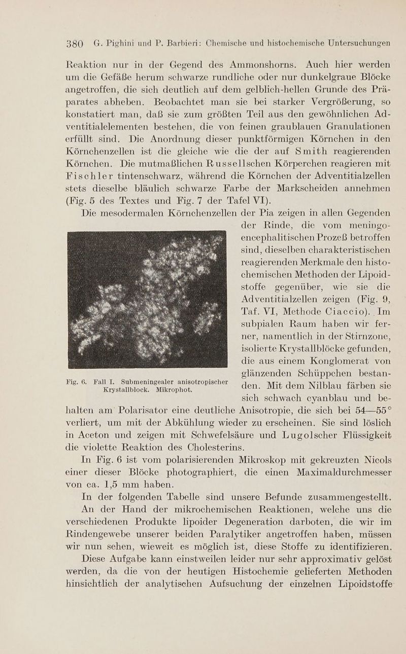 Reaktion nur in der Gegend des Ammonshorns. Auch hier werden um die Gefäße herum schwarze rundliche oder nur dunkelgraue Blöcke angetroffen, die sich deutlich auf dem gelblich-hellen Grunde des Prä- parates abheben. Beobachtet man sie bei starker Vergrößerung, so konstatiert man, daß sie zum größten Teil aus den gewöhnlichen Ad- ventitialelementen bestehen, die von feinen graublauen Granulationen erfüllt sind. Die Anordnung dieser punktförmigen Körnchen in den Körnchenzellen ist die gleiche wie die der auf Smith reagierenden Körnchen. Die mutmaßlichen Russellschen Körperchen reagieren mit Fischler tintenschwarz, während die Körnchen der Adventitialzellen stets dieselbe bläulich schwarze Farbe der Markscheiden annehmen (Fig. 5 des Textes und Fig. 7 der Tafel VI). Die mesodermalen Körnchenzellen der Pia zeigen in allen Gegenden der Rinde, die vom meningo- encephalitischen Prozeß betroffen sind, dieselben charakteristischen reagierenden Merkmale den histo- chemischen Methoden der Lipoid- stoffe gegenüber, wie sie die Adventitialzellen zeigen (Fig. 9, Taf. VI, Methode Ciaccio). Im subpialen Raum haben wir fer- ner, namentlich in der Stirnzone, isolierte Krystallblöcke gefunden, die aus einem Konglomerat von glänzenden Schüppchen bestan- De a rem Ban den. Mit dem Nilblau färben sie sich schwach cyanblau und be- halten am Polarisator eine deutliche Anisotropie, die sich bei 54—55° verliert, um mit der Abkühlung wieder zu erscheinen. Sie sind löslich in Aceton und zeigen mit Schwefelsäure und Lugolscher Flüssigkeit die violette Reaktion des Cholesterins. In Fig. 6 ist vom polarisierenden Mikroskop mit gekreuzten Nicols einer dieser Blöcke photographiert, die einen Maximaldurchmesser von ca. 1,5 mm haben. In der folgenden Tabelle sind unsere Befunde zusammengestellt. An der Hand der mikrochemischen Reaktionen, welche uns die verschiedenen Produkte lipoider Degeneration darboten, die wir im Rindengewebe unserer beiden Paralytiker angetroffen haben, müssen wir nun sehen, wieweit es möglich ist, diese Stoffe zu identifizieren. Diese Aufgabe kann einstweilen leider nur sehr approximativ gelöst werden, da die von der heutigen Histochemie gelieferten Methoden hinsichtlich der analytischen Aufsuchung der einzelnen Lipoidstoffe