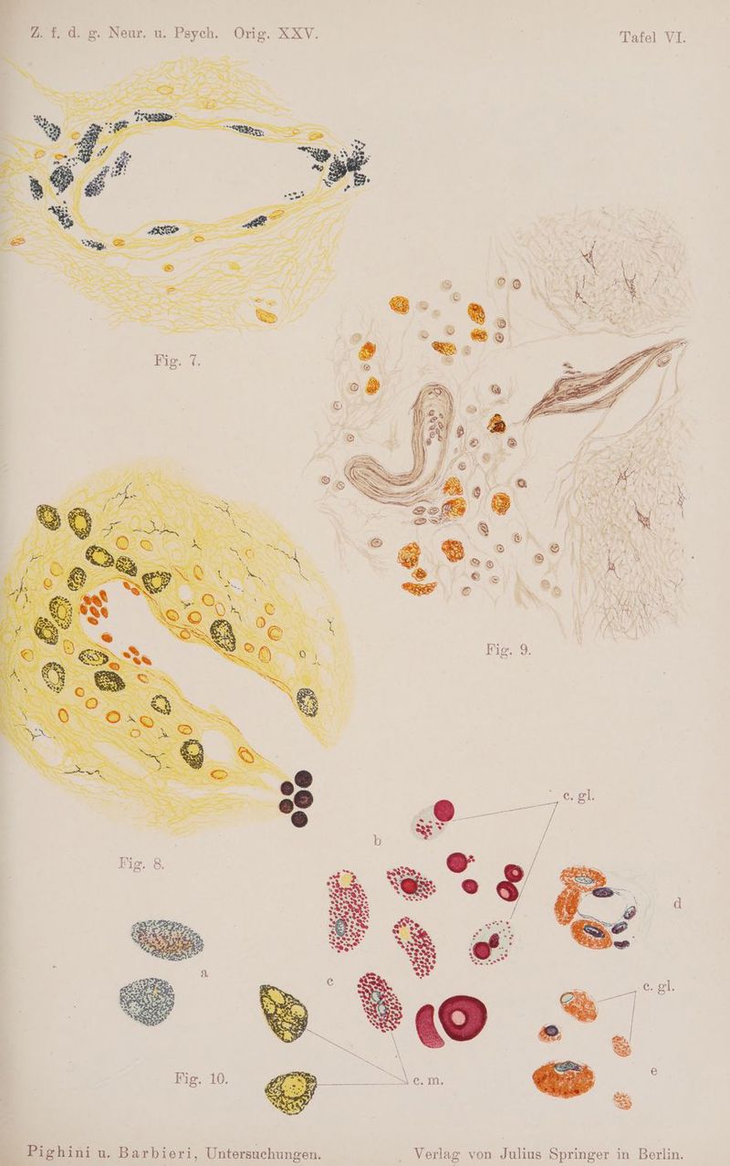 Tafel VI. XXV. Neur. u. Psych. Orig. a 2. L Verlag von Julius Springer in Berlin. Po Pighini u. Barbieri, Untersuchungen.