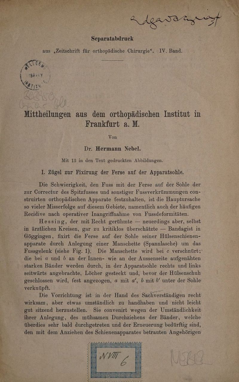 Separatabdruck aus „Zeitschrift für orthopädische Chirurgie“. IV. Band. RUF, SE; % Mittheilungen aus dem orthopädischen Institut in Frankfurt a. M. Von Dr. Hermann Nebel. Mit 13 in den Text gedruckten Abbildungen. I. Zügel zur Fixirung der Ferse auf der Apparatsohle. | Die Schwierigkeit, den Fuss mit der Ferse auf der Sohle der zur Correctur des Spitzfusses und sonstiger Fussverkrümmungen con- struirten orthopädischen Apparate festzuhalten, ist die Hauptursache so vieler Misserfolge auf diesem Gebiete, namentlich auch der häufigen Recidive nach operativer Inangriffnahme von Fussdeformitäten. Hessing, der mit Recht gerühmte — neuerdings aber, selbst in ärztlichen Kreisen, gar zu kritiklos überschätzte — Bandagist in Göggingen, fixirt die Ferse auf der Sohle seiner Hülsenschienen- apparate durch Anlegung einer Manschette (Spannlasche) um das Fussgelenk (siehe Fig. 1). Die Manschette wird bei e verschnürt;' die bei @« und 5 an der Innen- wie an der Aussenseite aufgenähten starken Bänder werden durch, in der Apparatsohle rechts und links seitwärts angebrachte, Löcher gesteckt und, bevor der Hülsenschuh geschlossen wird, fest angezogen, @ mit a‘, b mit b’ unter der Sohle verknüpft. h Die Vorrichtung ist in der Hand des Sachverständigen recht wirksam, aber etwas umständlich zu handhaben und nicht leicht gut sitzend herzustellen. Sie convenirt wegen der Umständlichkeit ihrer Anlegung, des mühsamen Durchziehens der Bänder, welche überdies sehr bald durchgetreten und der Erneuerung bedürftig sind, den mit dem Anziehen des Schienenapparates betrauten Angehörigen