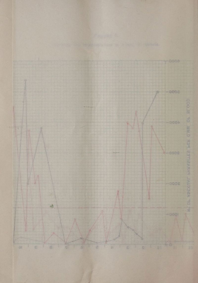LR ms : poh? Pe ‘ Ss A } P * : } x r¢ ohn ng i a os pay a ‘ > ak. ‘ . my v - a “A 4 he. ”~ i : ’ : # . - <—s~* SIC cree < * ; i x + a Ba 4 > vo . r. = te fai Mesasaeh ap ’ +4 vit ieee Bae We eS ae | | Sarin ee oe * : ; ws Ms M) ‘ — ie + ford ce ae. Benepe Pathe i aS en: enhanced ote j aye ae SE re & ‘ rf [ Ae a 4 m7 4 : : | is oes Sn a 5 ; t q b wnt ‘ sie s denl con » ‘y mie yee ‘e . iat ' .3 ~ 3 Z é ‘ ~ q ae “ ’ F rt i he : Pa Foes : : Sent ws ape ihm van lll spelapee ee a ree hone pune ‘ Ry Ha ‘ oa ESR ares e Oe ea : 4 a Pe ee 3 Fy ae ¥ n FY 4 + + - +4 tics alhong Peieprony we iz Lay day = 4. : tee Rae tm ences emt CO cll ae ee ptt ite hg Wo