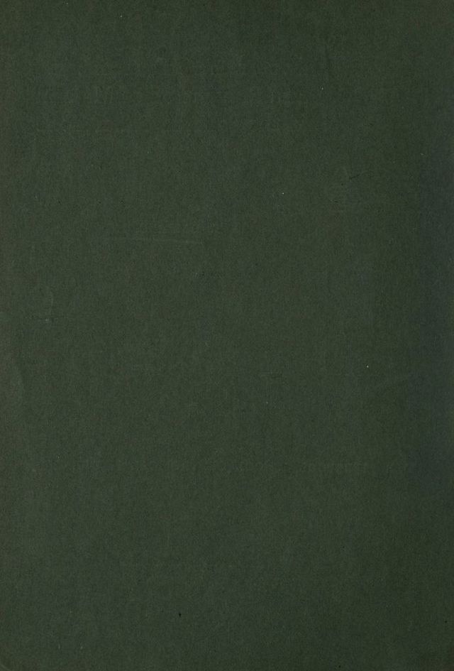 digitised image 2
