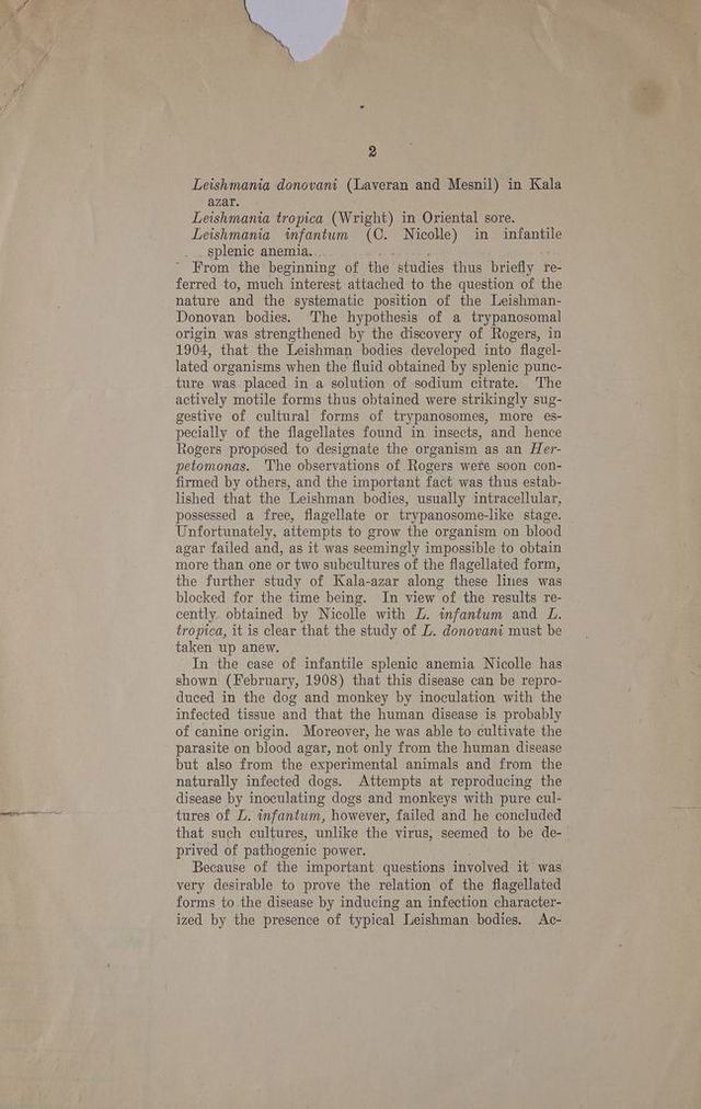 digitised image 2