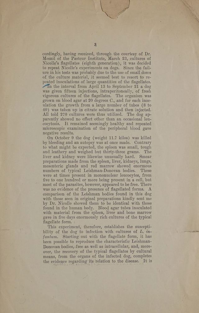 digitised image 3