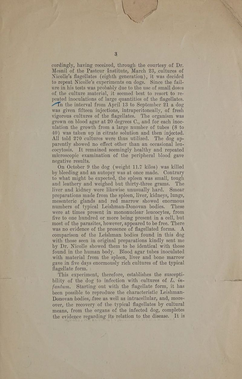 cordingly, having received, through the courtesy of Dr. Mesnil of the Pasteur Institute, March 23, cultures of Nicolle’s flagellates (eighth generation), it was decided to repeat Nicolle’s experiments on dogs. Since the fail- ure in his tests was probably due to the use of small doses of the culture material, it seemed best to resort to re- peated inoculations of large quantities of the flagellates. “Tn the interval from April 13 to September 21 a dog was given fifteen injections, intraperitoneally, of fresh vigorous cultures of the flagellates. The organism was grown on blood agar at 20 degrees C., and for each inoc- ulation the growth from a large number of tubes (8 to 40) was taken up in citrate solution and then injected. All told 270 cultures were thus utilized. The dog ap- parently showed no effect other than an occasional leu- cocytosis. It remained seemingly healthy and repeated microscopic examination of the peripheral blood gave negative results. On October 9 the dog (weight 11.7 kilos) was killed by bleeding and an autopsy was at once made. Contrary to what might be expected, the spleen was small, tough and leathery and weighed but thirty-three grams. The liver and kidney were likewise unusually hard. Smear preparations made from the spleen, liver, kidneys, lungs, mesenteric glands and red marrow showed enormous numbers of typical Leishman-Donovan bodies. These were at times present in mononuclear leucocytes, from five to one hundred or more being present in a cell, but most of the parasites, however, appeared to be free. There was no evidence of the presence of flagellated forms. A comparison of the Leishman bodies found in this dog with those seen in original preparations kindly sent me by Dr. Nicolle showed them to be identical with those found in the human body. Blood agar tubes inoculated gave in five days enormously rich cultures of the typical flagellate form. This experiment, therefore, establishes the suscepti- bility of the dog to infection with cultures of L. in- fantum. Starting out with the flagellate form, it has been possible to reproduce the characteristic Leishman- over, the recovery of the typical flagellates by cultural means, from the organs of the infected dog, completes the evidence regarding its relation to the disease. It is