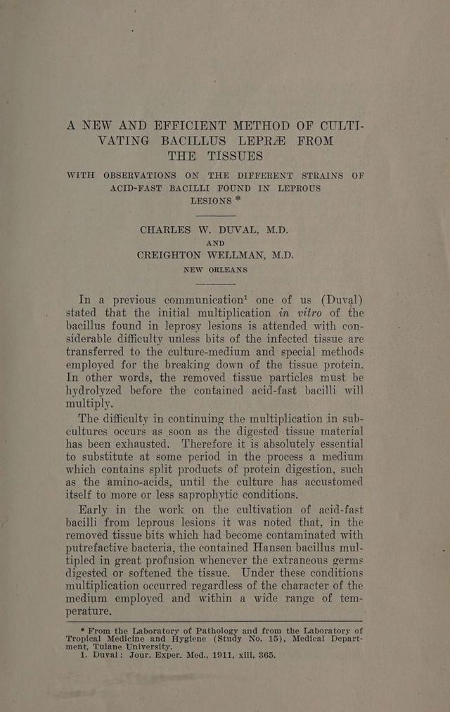 digitised image 3