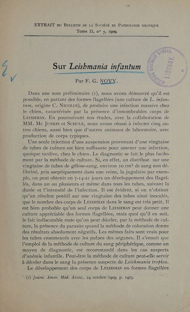 digitised image 3