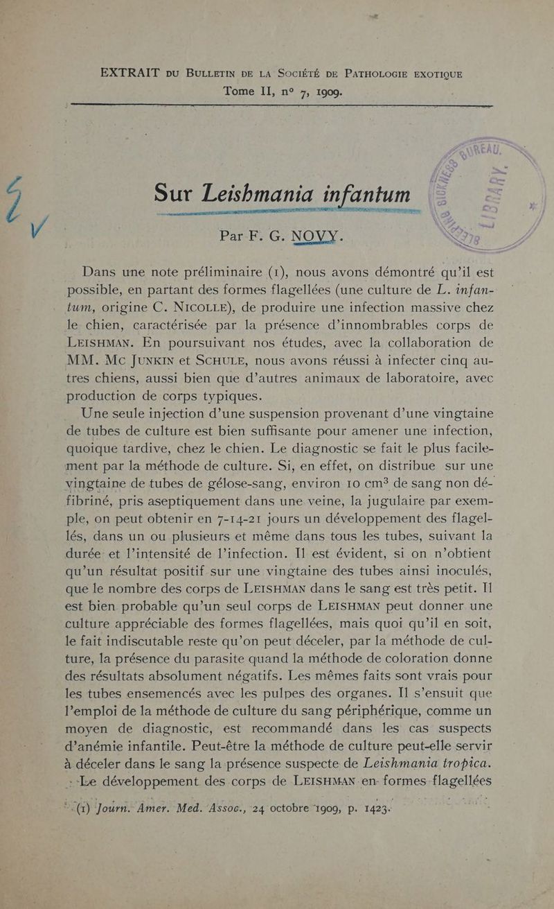 EXTRAIT pu BULLETIN DE LA SOCIÉTÉ DE PATHOLOGIE EXOTIQUE Tome II, n° 7, 1909. Sur Leishbmania infantum Ë ED POI ë d x 5 Par F. G. NOYY. CO Dans une note préliminaire (1), nous avons démontré qu’il est possible, en partant des formes flagellées (une culture de L. infan- tum, origine C. NICOLLE), de produire une infection massive chez le chien, caractérisée par la présence d’innombrables corps de LEISHMAN. En poursuivant nos études, avec la collaboration de MM. Mc JUNKIN et SCHULE, nous avons réussi à infecter cinq au- tres chiens, aussi bien que d’autres animaux de laboratoire, avec production de corps typiques. Une seule injection d’une suspension provenant d’une vingtaine de tubes de culture est bien suffisante pour amener une infection, quoique tardive, chez le chien. Le diagnostic se fait le plus facile- ment par la méthode de culture. Si, en effet, on distribue sur une vingtaine de tubes de gélose-sang, environ 10 cm de sang non dé- fibriné, pris aseptiquement dans une veine, la jugulaire par exem- ple, on peut obtenir en 7-14-21 jours un développement des flagel- lés, dans un ou plusieurs et même dans tous les tubes, suivant la durée et l’intensité de l’infection. Il est évident, si on n’obtient qu’un résultat positif sur une vingtaine des tubes ainsi inoculés, que le nombre des corps de LEISHMAN dans le sang est très petit. Il est bien probable qu’un seul corps de LEISHMAN peut donner une culture appréciable des formes flagellées, mais quoi qu’il en soit, le fait indiscutable reste qu’on peut déceler, par la méthode de cul- ture, la présence du parasite quand la méthode de coloration donne des résultats absolument négatifs. Les mêmes faits sont vrais pour les tubes ensemencés avec les pulpes des organes. Il s'ensuit que l'emploi de la méthode de culture du sang périphérique, comme un moyen de diagnostic, est recommandé dans les cas suspects d’anémie infantile. Peut-être la méthode de culture peut-elle servir à déceler dans le sang la présence suspecte de Leishmania tropica. :-Le développement des corps de LEISHMAX en- formes flagellées F1) Journ. Âmer. Med. Assoc., 24 octobre 1909, p. 1423.