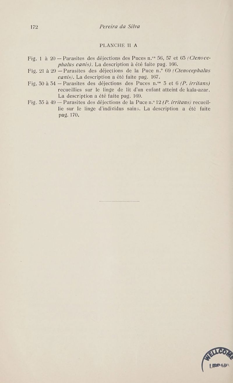 PEANCEHEAILEA Fig. 1 à 20 — Parasites des déjections des Puces n.°* 56, 57 et 63 (Cfenoce- phalus canis). La description à été faite pag. 166. Fig. 21 à 29 — Parasites des déjections de la Puce n.° 69 /Cfenocephalus canis). La description a été faite pag. 167. Fig. 30 à 34 — Parasites des déjections des Puces n.°* 3 et 6 (P. irritans) recueillies sur le linge de lit d’un enfant atteint de kala-azar. La description a été faite pag. 169. Fig. 35 à 49 — Parasites des déjections de la Puce n.° 12 {P. irritans) recueil- lie sur Île linge d'individus sains. La description a été faite pag. 170.