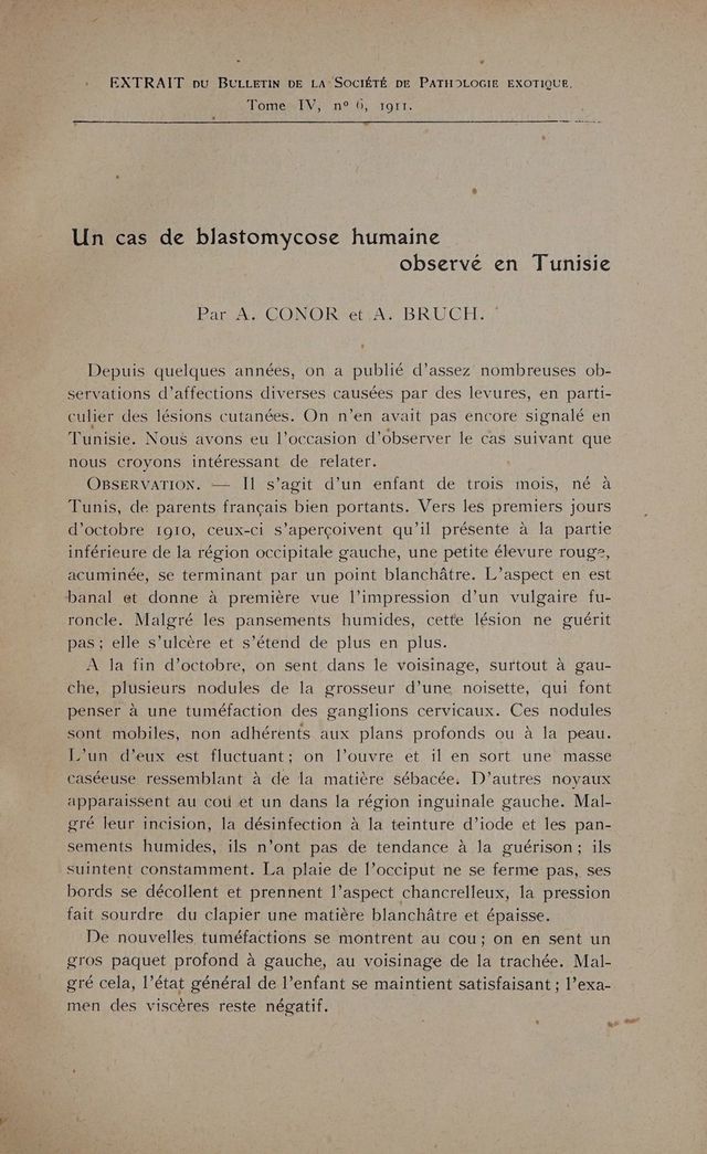 digitised image 3