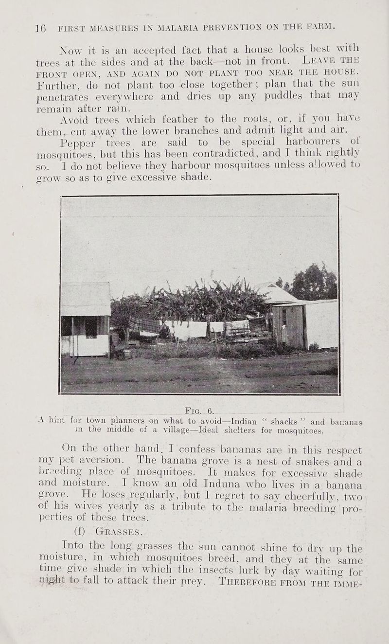 Now it is an accepted fact that a house looks best with trees at the sides and at the back—not in front. LEAVE THE FRONT OPEN, AND AGAIN DO NOT PLANT TOO NEAR THE HOUSE. Further, do not plant too close together; plan that the sun penetrates everywhere and dries up any puddles that may remain after rain. Avoid trees which feather to the roots, or, if you have them, cut away the lower branches and admit hght and air. Pepper trees are said to be special harbourers of mosquitoes, but this has been contradicted, and I think rightly so. I do not believe they harbour mosquitoes unless a!lowed to erow so ag to give excessive shade. a On the other hand, I confess bananas are in this respect my pet aversion. ‘The banana grove is a nest of snakes and a breeding place of mosquitoes. It makes for excessive shade and moisture. J know an old Induna who lives in a banana grove. He loses regularly, but I regret to say cheerfully, two of his wives yearly as a tribute to the malaria breeding’ pro- perties of these trees. areal (f) GRASSES. _Into the long grasses the sun cannot shine to drv up the moisture, im which mosquitoes breed, and they at the same time give shade in which the insects lurk by day waiting i r night to fall to attack their prey. THEREFORE FROM THE Sa